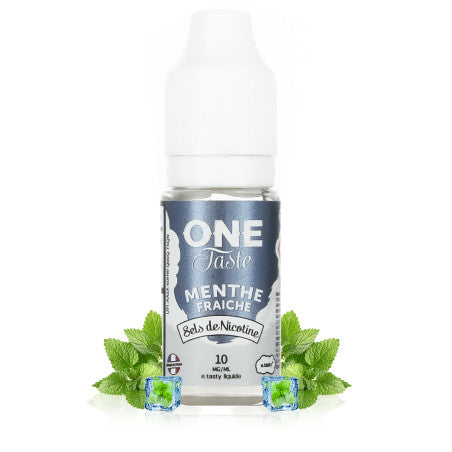 10ml E.Tasty E-liquide Menthe Fraiche Sels de Nicotine One Taste