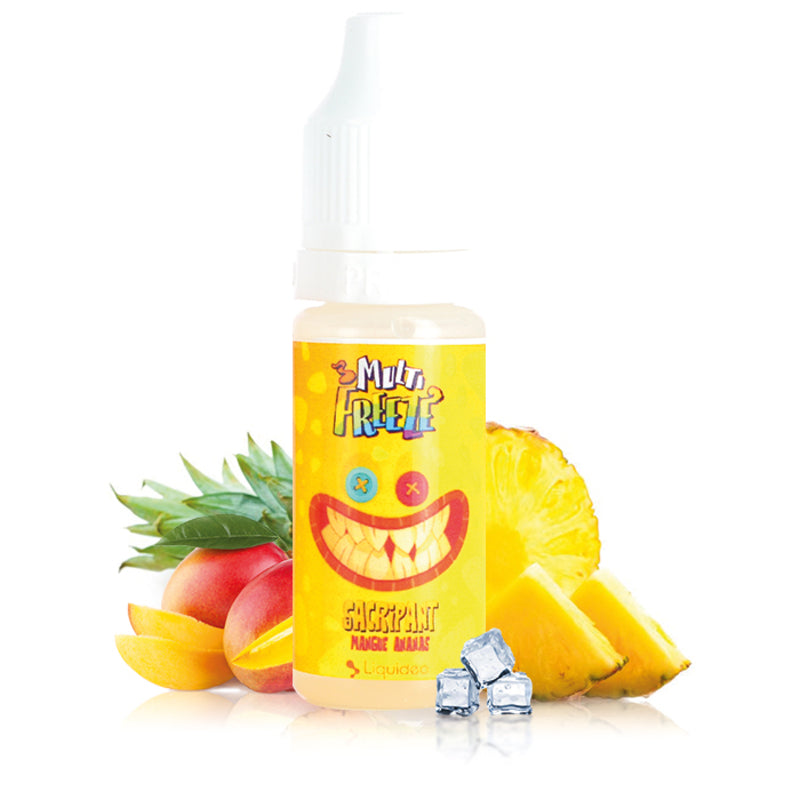 10ml Liquideo E-liquide Sacripant Multi Freeze