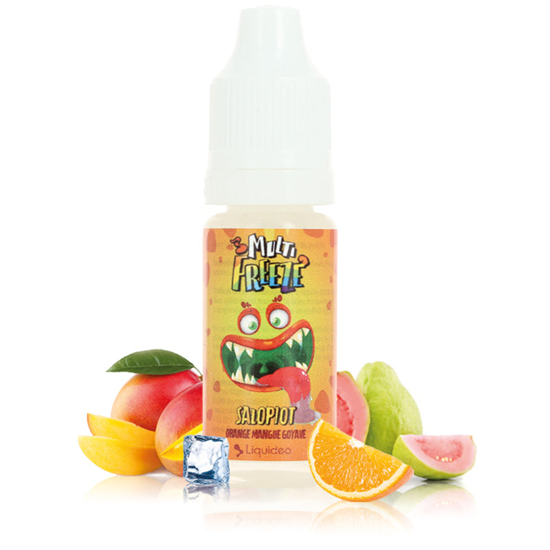 10ml Liquideo E-liquide Salopiot Multi Freeze